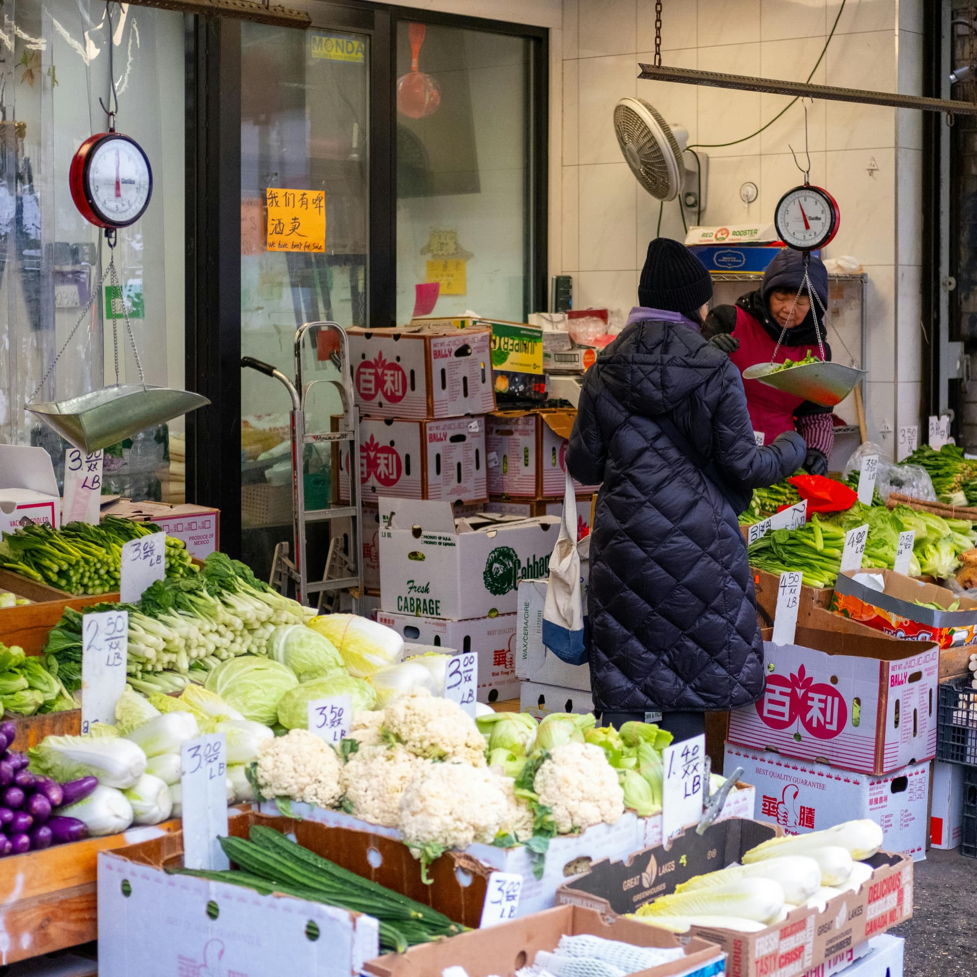 Bustling street food market with diverse, affordable options