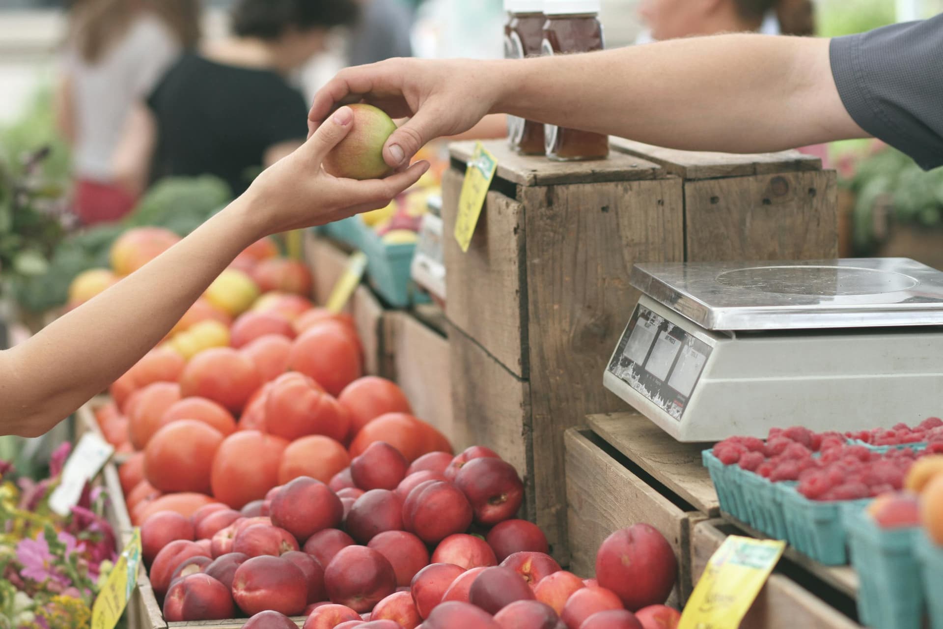 Traveler shopping for affordable groceries in a supermarket