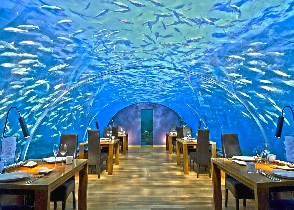 Underwater dining experience at Ithaa Restaurant with views of marine life surrounding glass walls